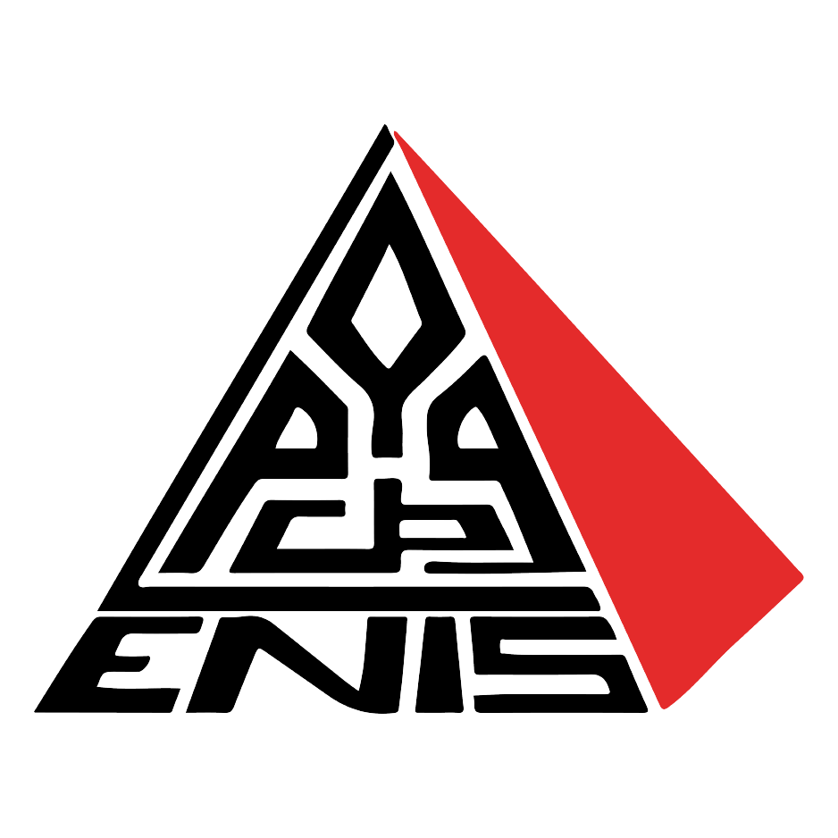 ENIS Logo